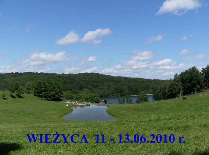 wiezyca2010